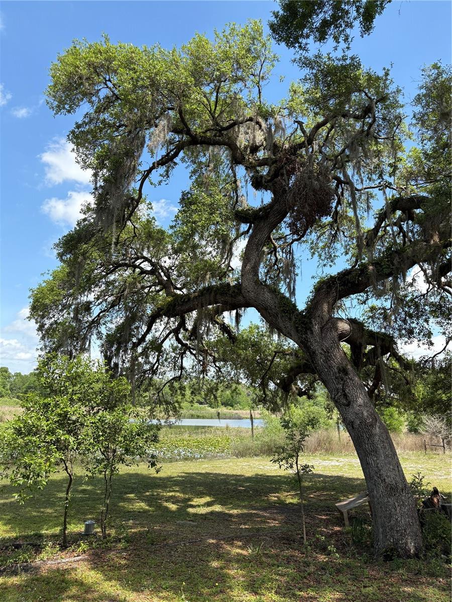 8047 E SUNRAY LN, FLORAL CITY, FL, 34436