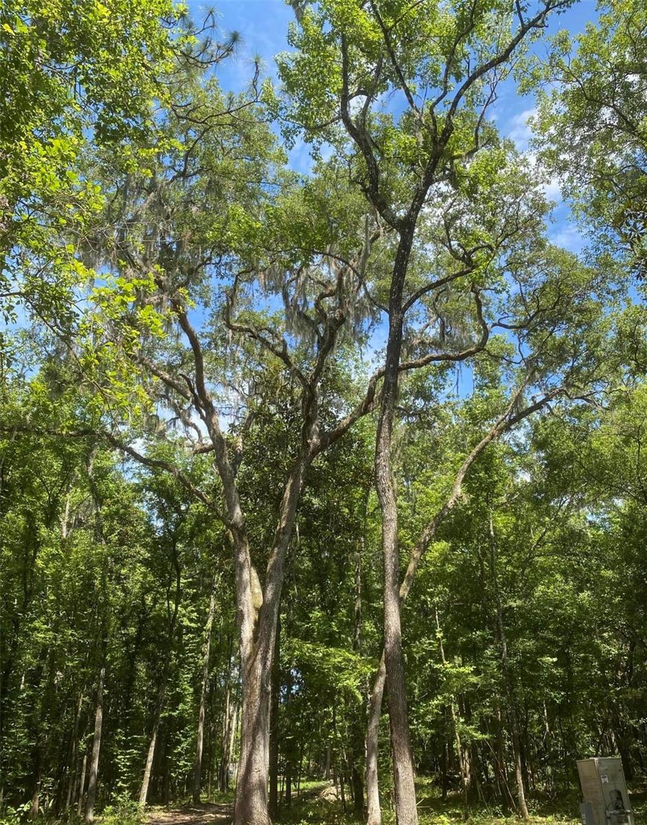 SNOW MEMORIAL HWY, BROOKSVILLE, FL, 34601