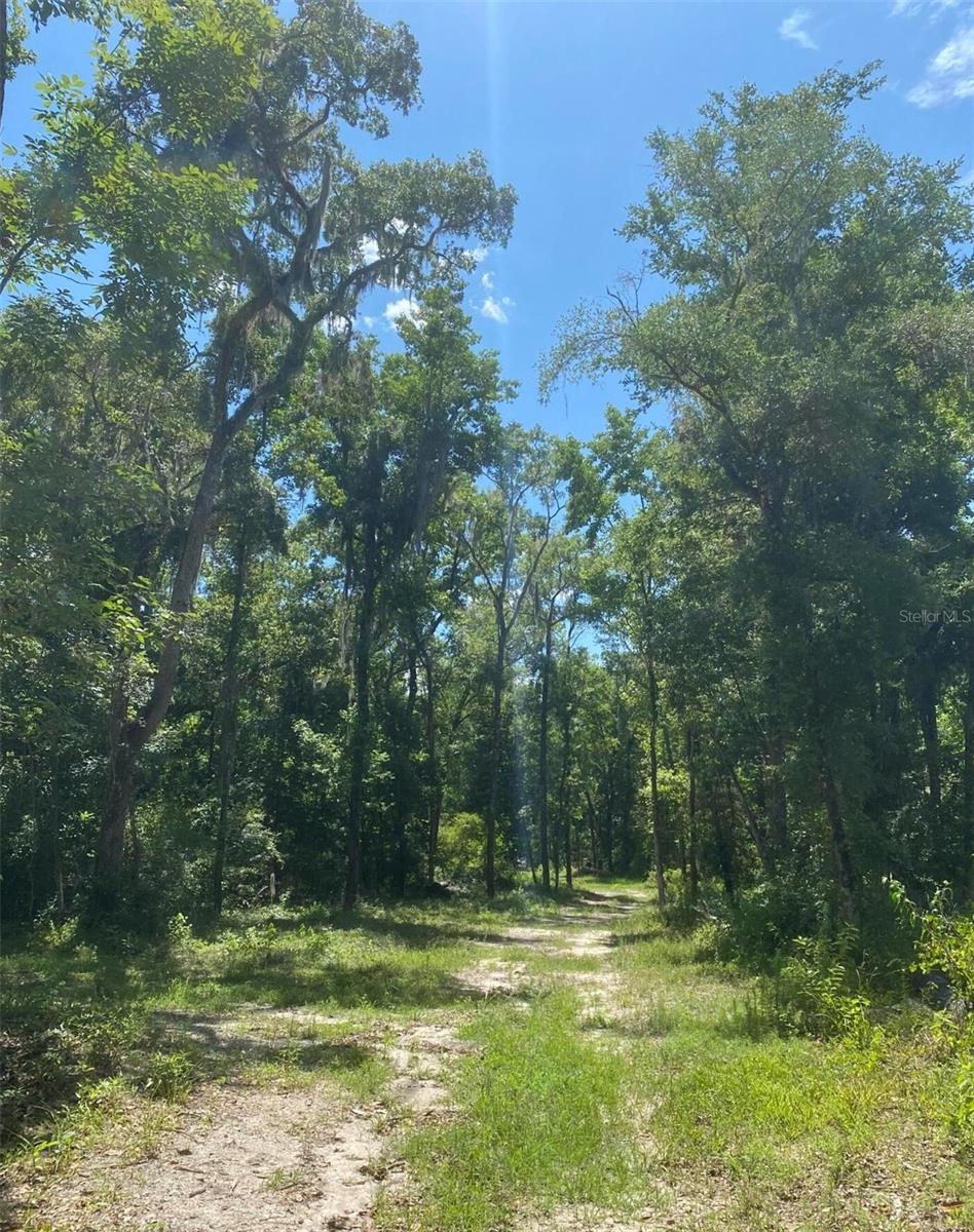 SNOW MEMORIAL HWY, BROOKSVILLE, FL, 34601