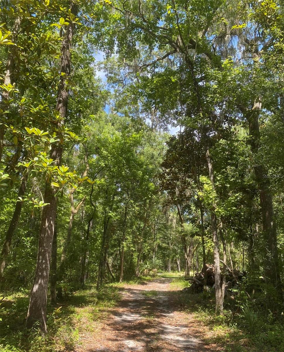 SNOW MEMORIAL HWY, BROOKSVILLE, FL, 34601