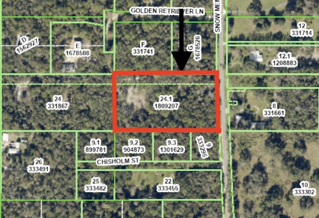 SNOW MEMORIAL HWY, BROOKSVILLE, FL, 34601