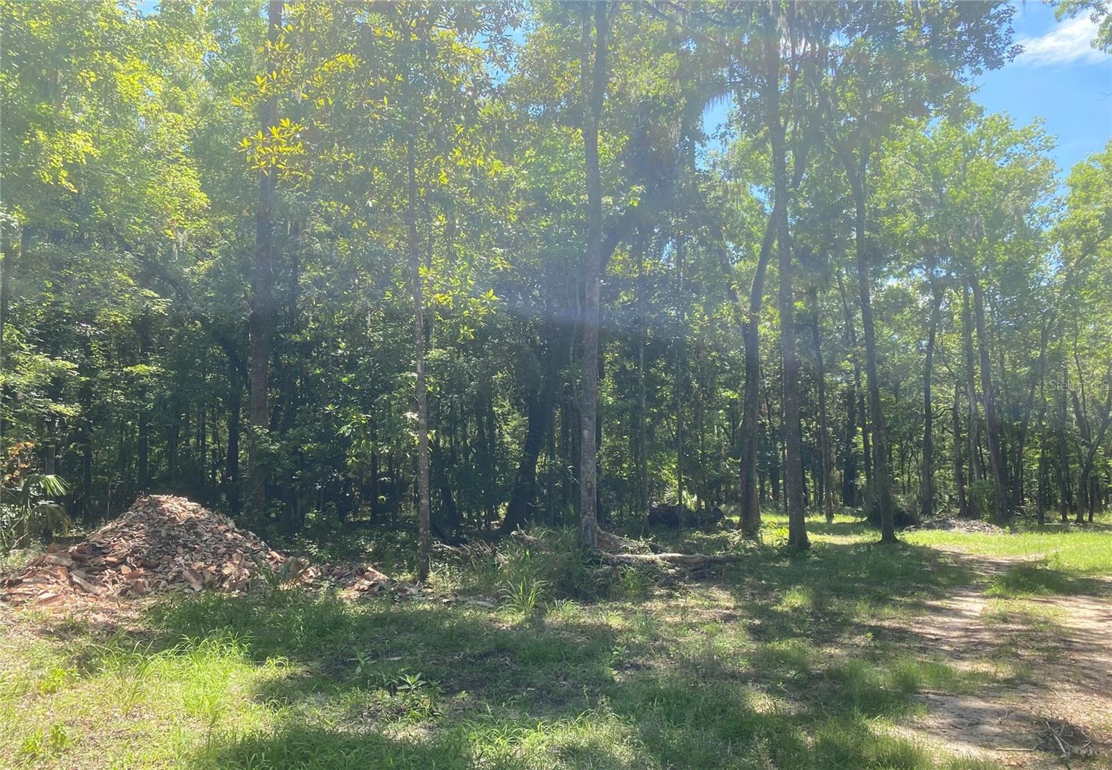 SNOW MEMORIAL HWY, BROOKSVILLE, FL, 34601