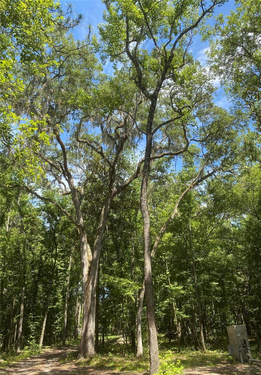 SNOW MEMORIAL HWY, BROOKSVILLE, FL, 34601