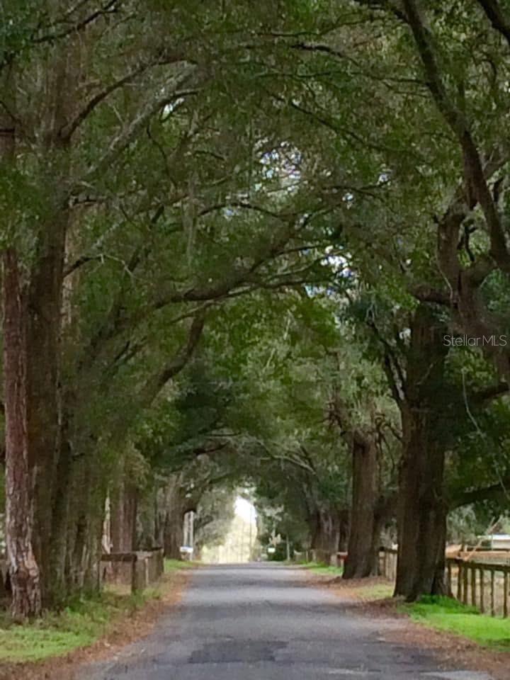 SUMMERFIELD, FL, 34491