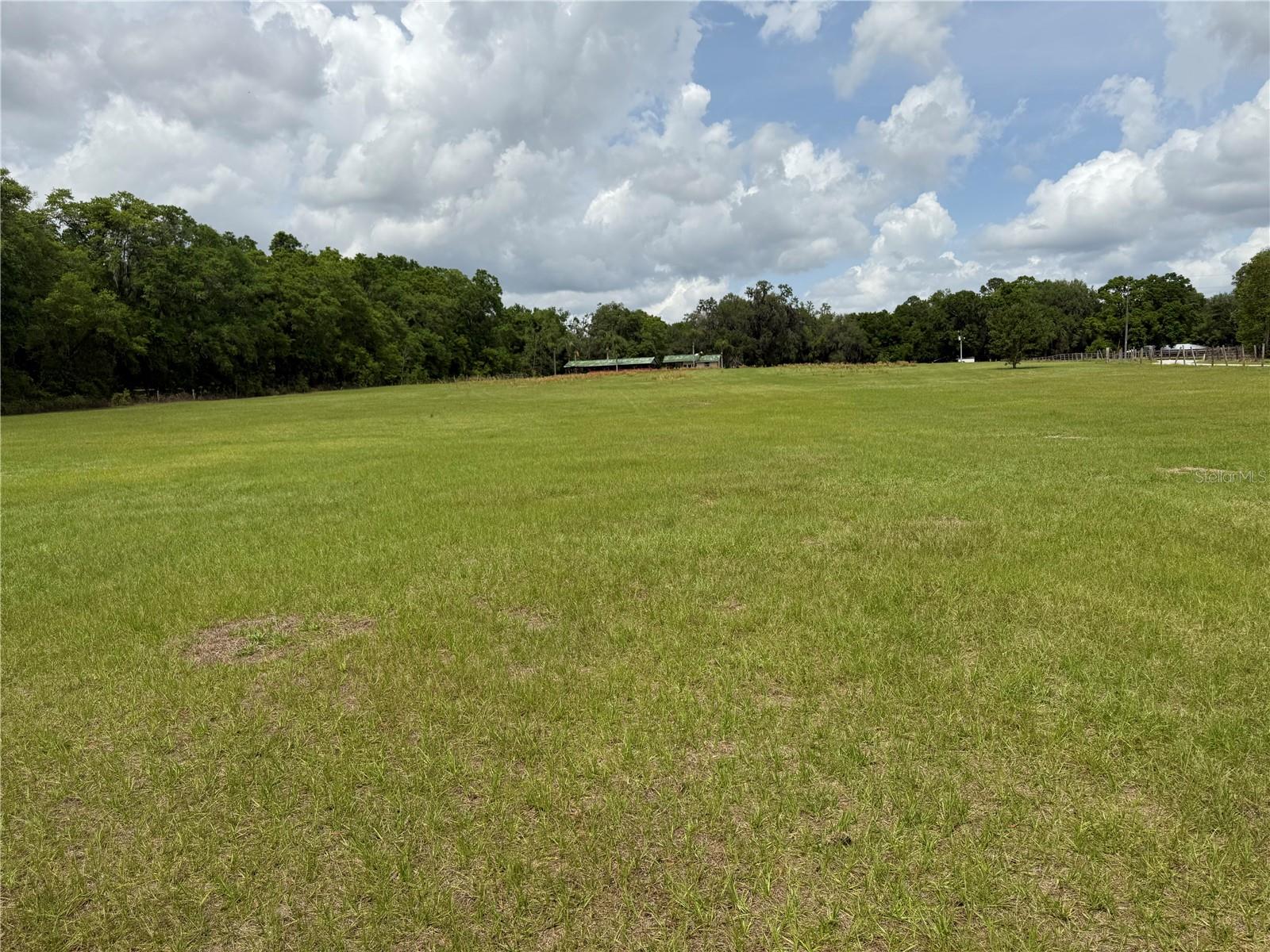 SUMMERFIELD, FL, 34491