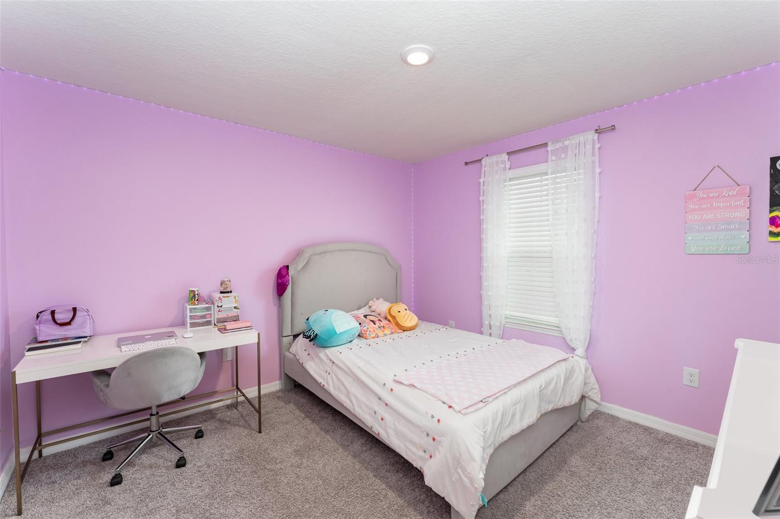 13532 PALMERA VISTA DR, RIVERVIEW, FL, 33579