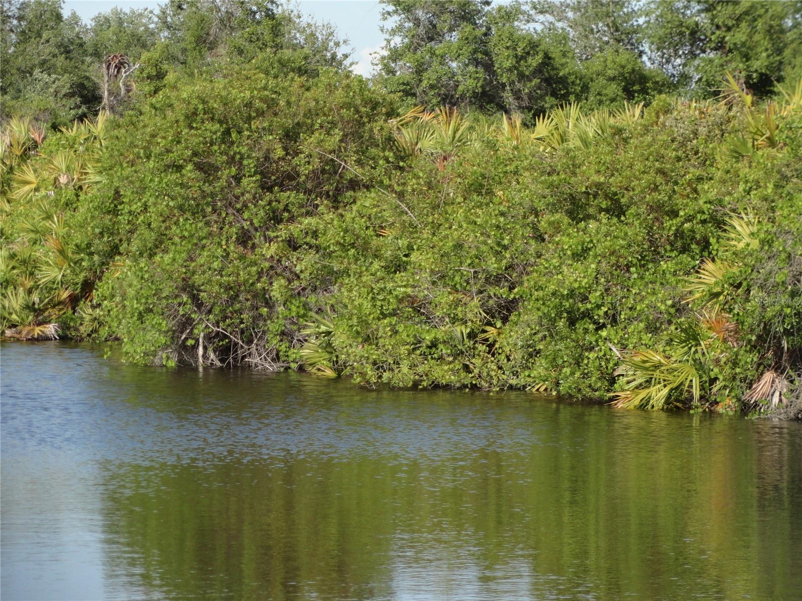 1357 BEAUREGARD CT, PUNTA GORDA, FL, 33983