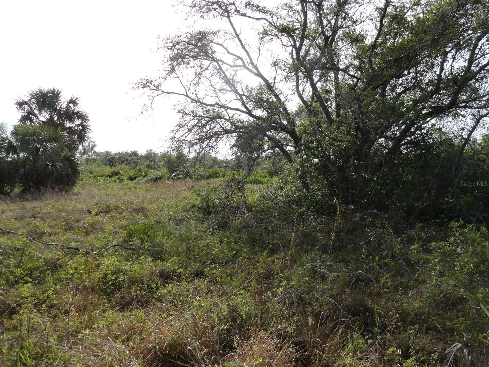 1357 BEAUREGARD CT, PUNTA GORDA, FL, 33983