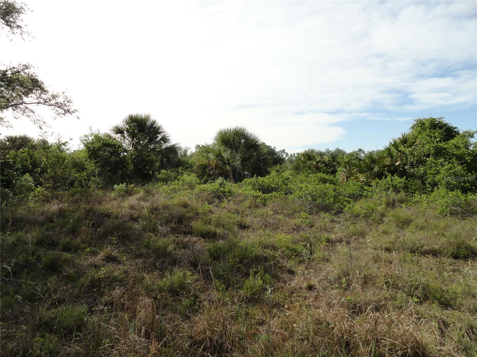 1357 BEAUREGARD CT, PUNTA GORDA, FL, 33983