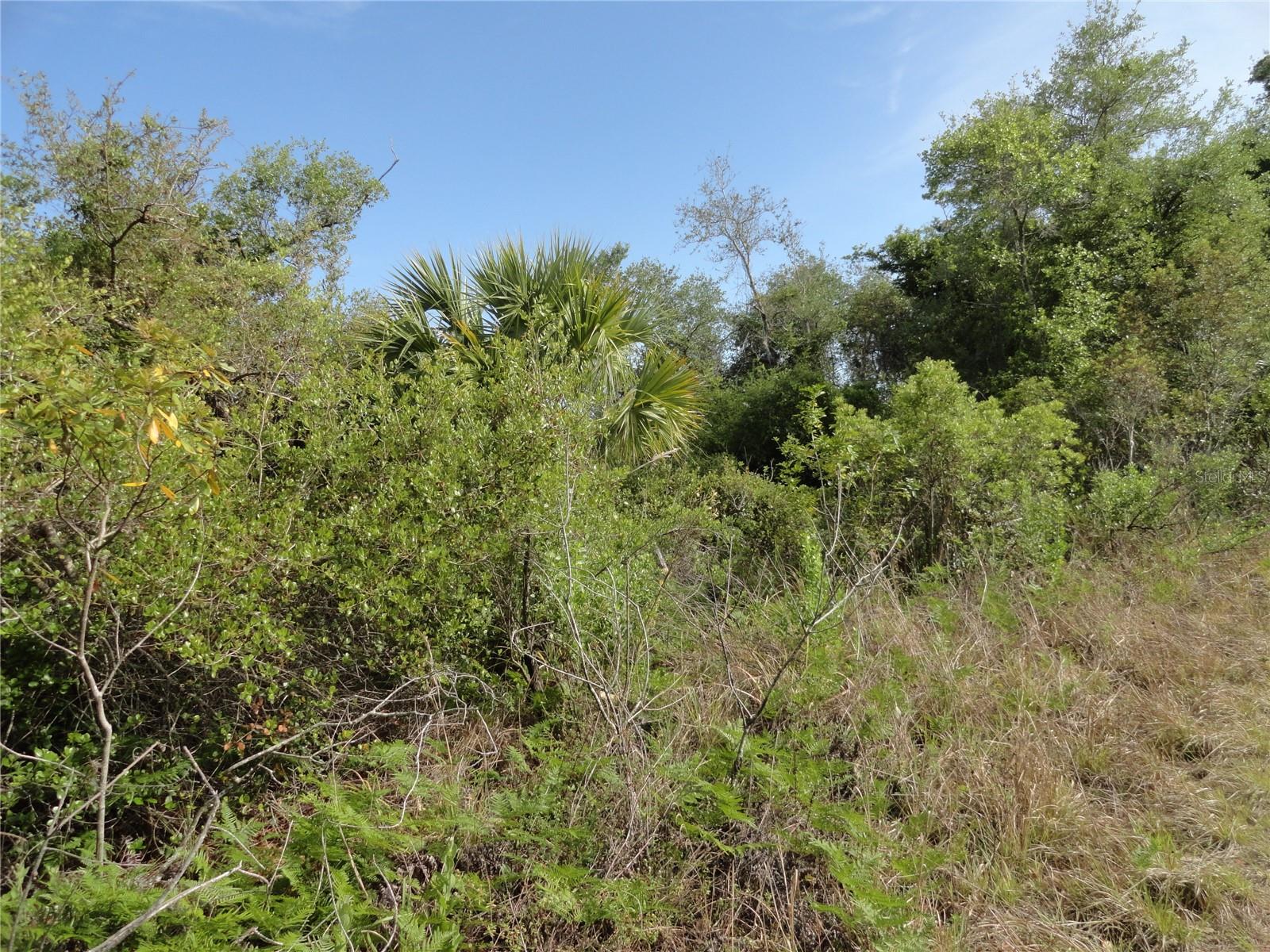 1357 BEAUREGARD CT, PUNTA GORDA, FL, 33983