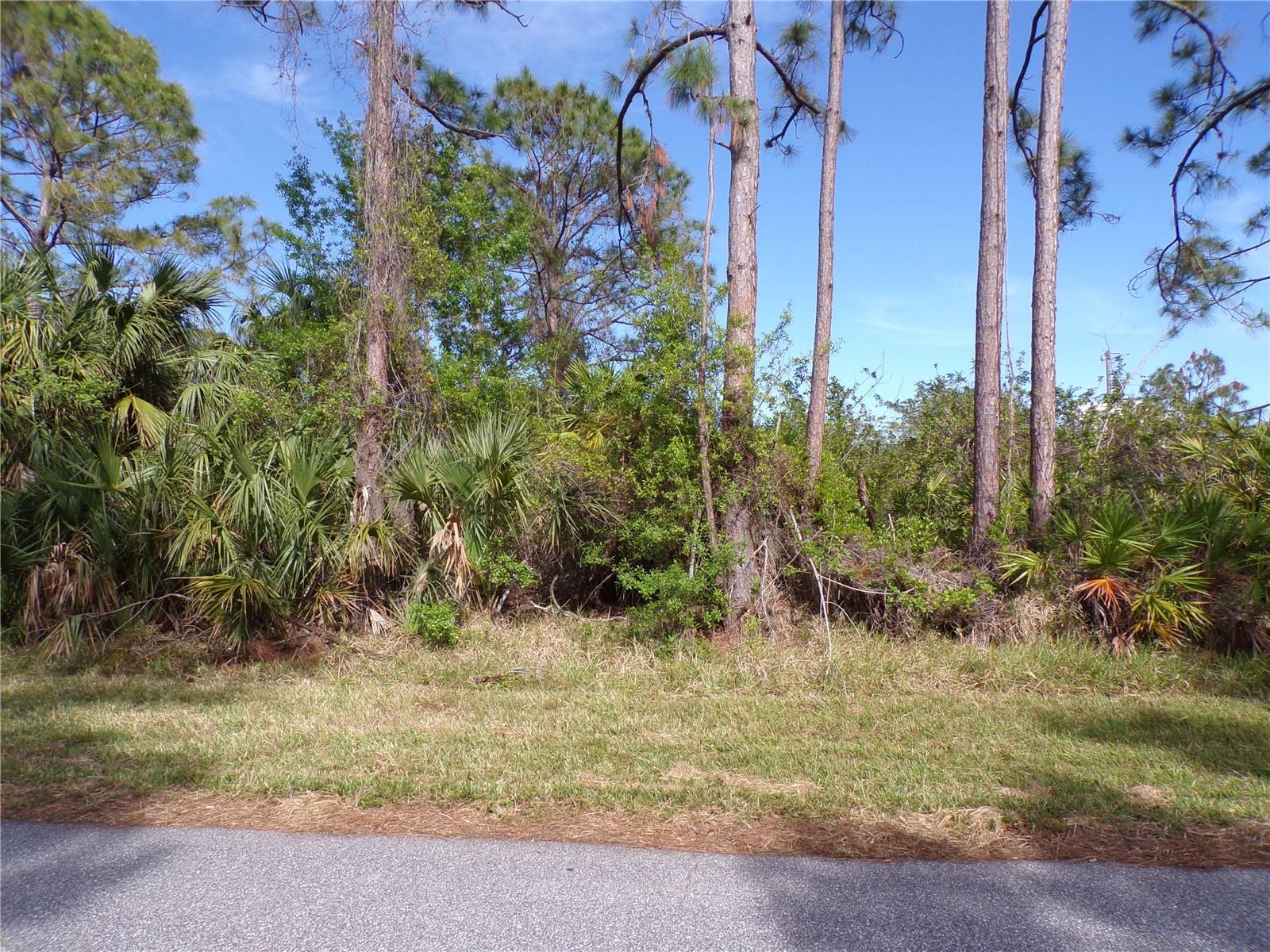 3142 CALLISTO ST, PORT CHARLOTTE, FL, 33981