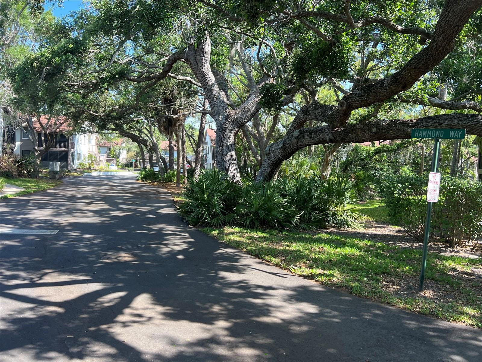 644 FAIRMONT AVE #A, SAFETY HARBOR, FL, 34695