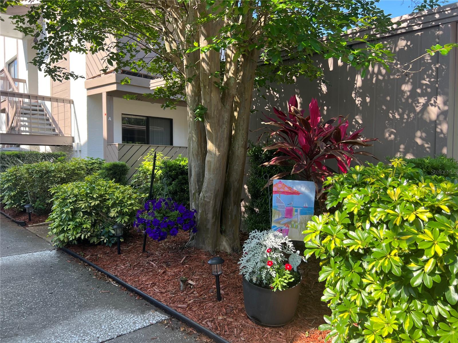 644 FAIRMONT AVE #A, SAFETY HARBOR, FL, 34695