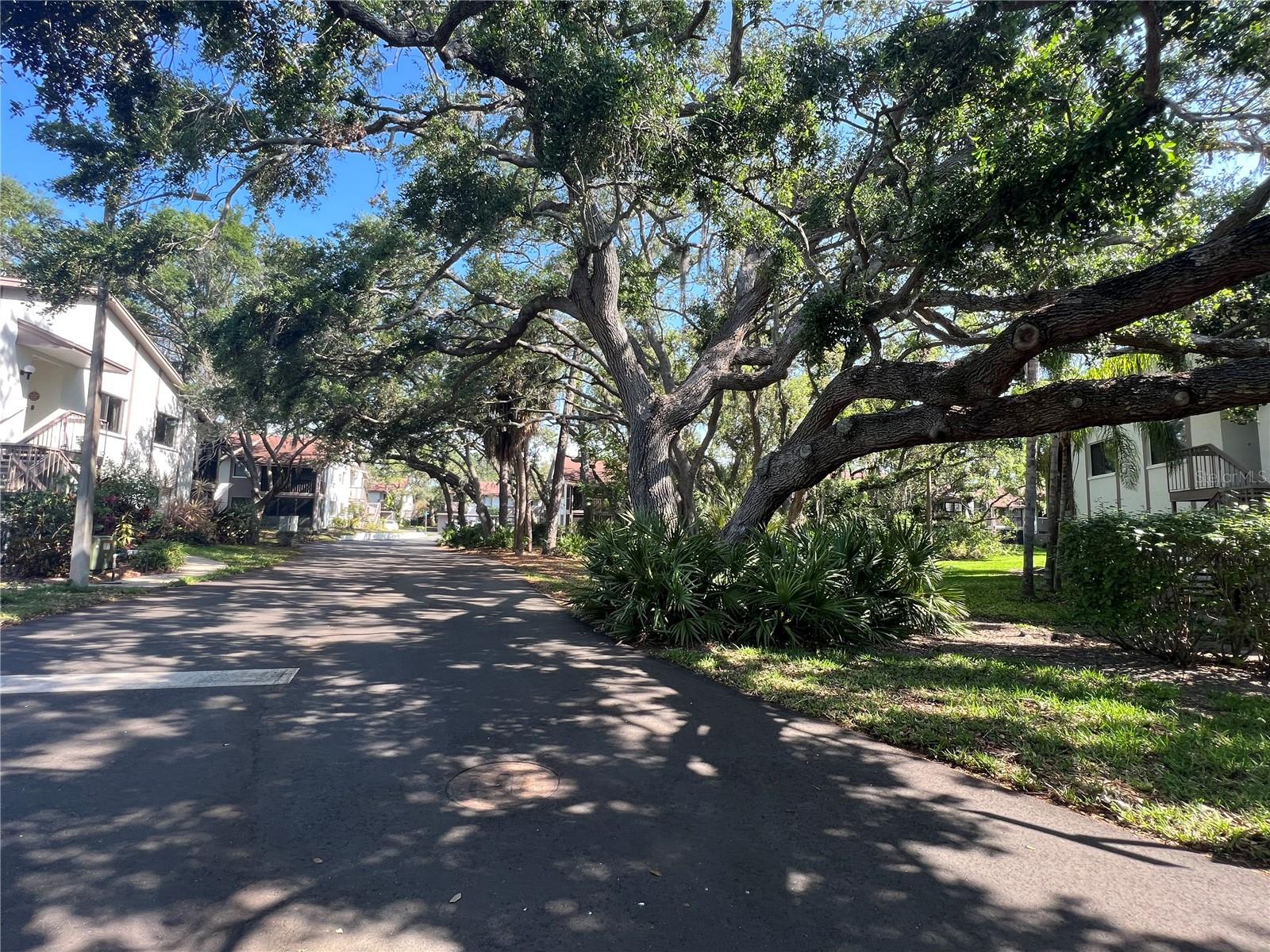 644 FAIRMONT AVE #A, SAFETY HARBOR, FL, 34695