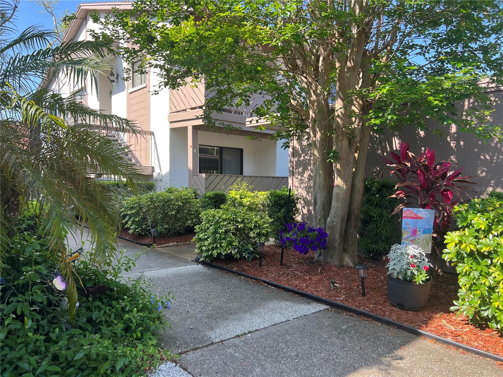 644 FAIRMONT AVE #A, SAFETY HARBOR, FL, 34695