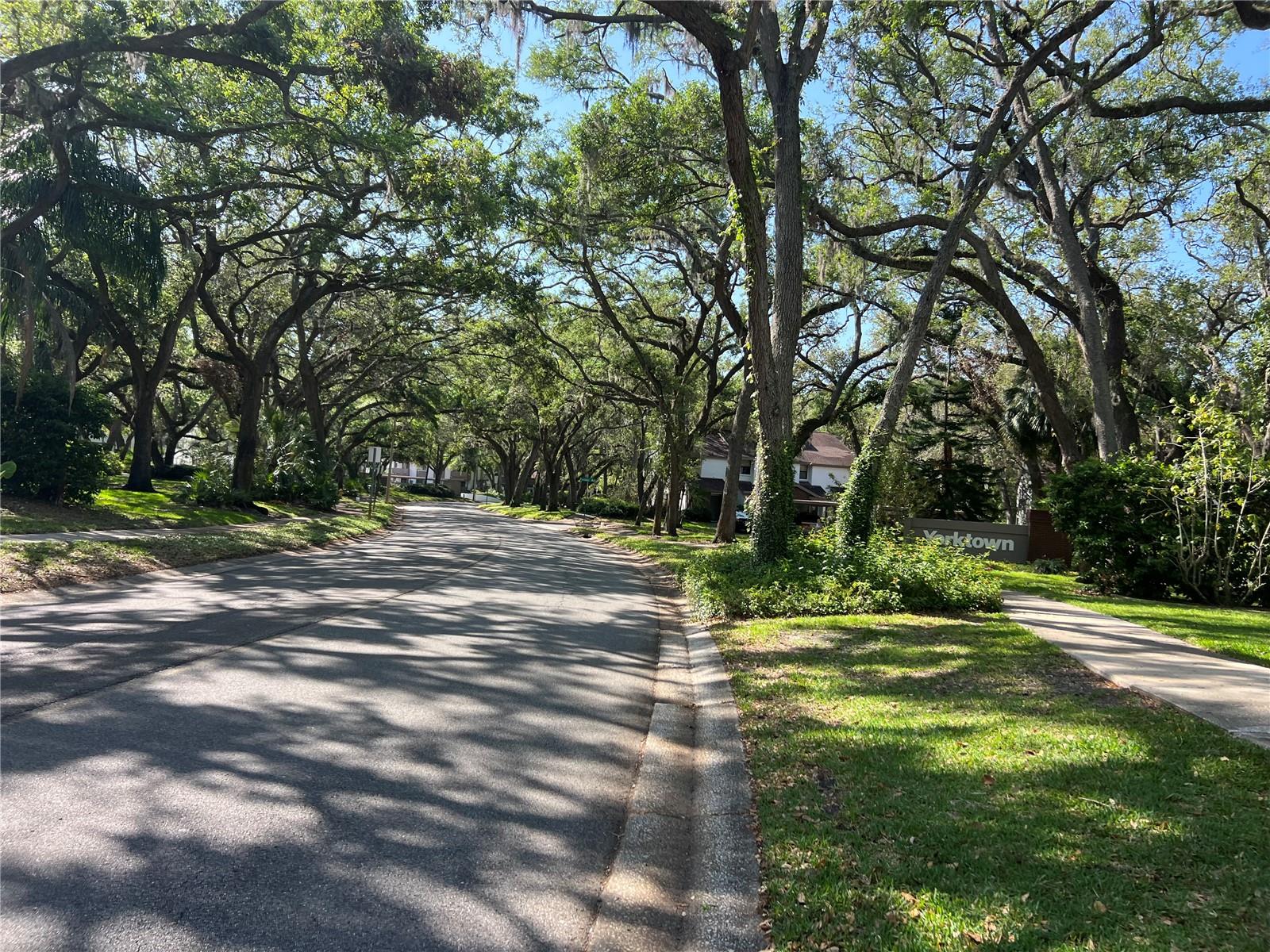 644 FAIRMONT AVE #A, SAFETY HARBOR, FL, 34695