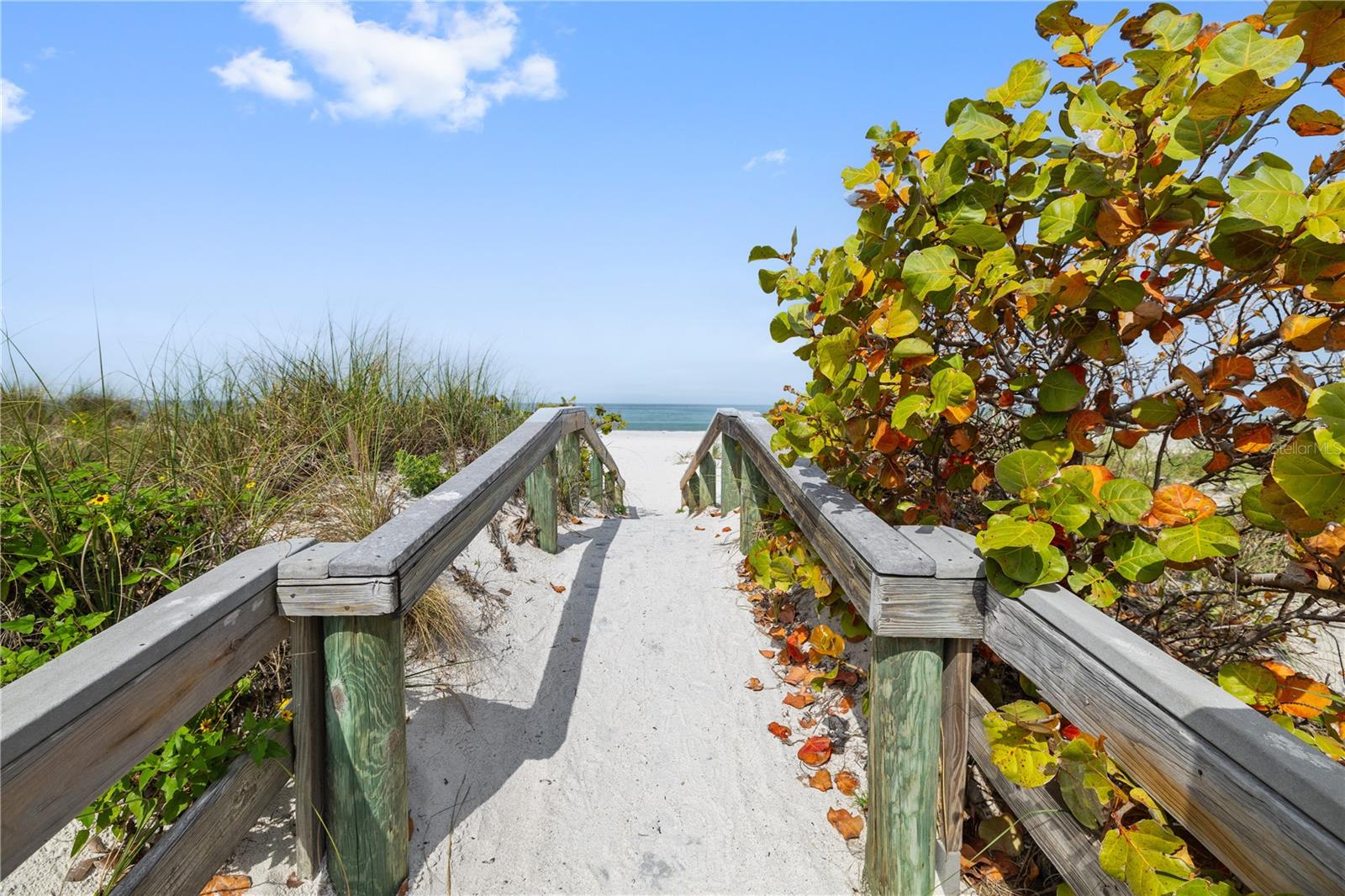 205 GULF WAY, ST PETE BEACH, FL, 33706