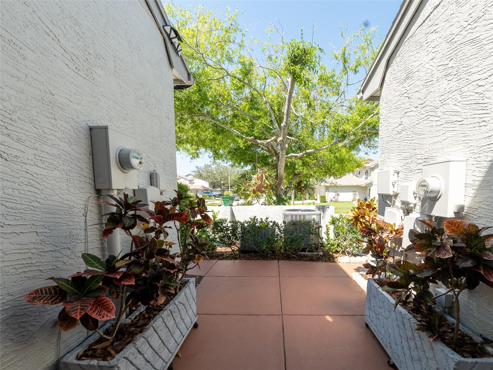 2983 COVEWOOD PL, CLEARWATER, FL, 33761