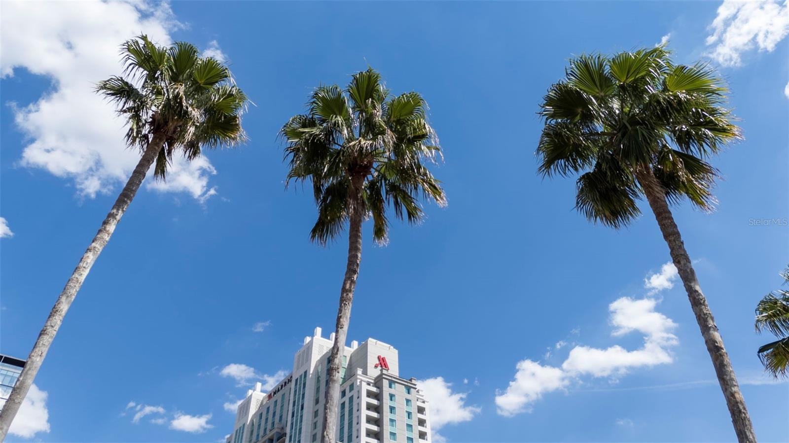 700 S HARBOUR ISLAND BLVD #813, TAMPA, FL, 33602