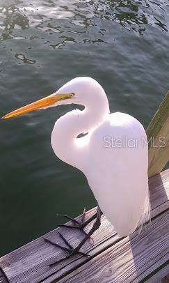 253 REX PL #B, MADEIRA BEACH, FL, 33708