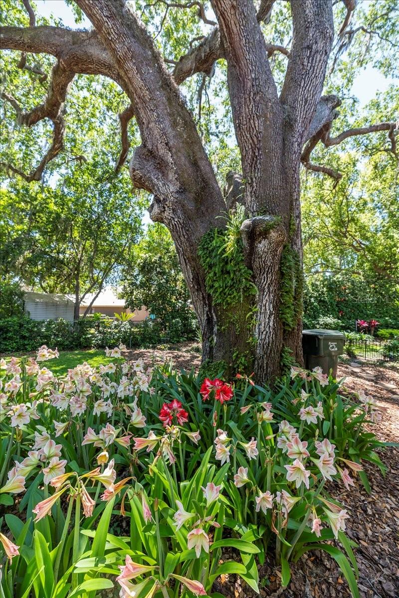 2021 WISTERIA LN, LAKELAND, FL, 33813