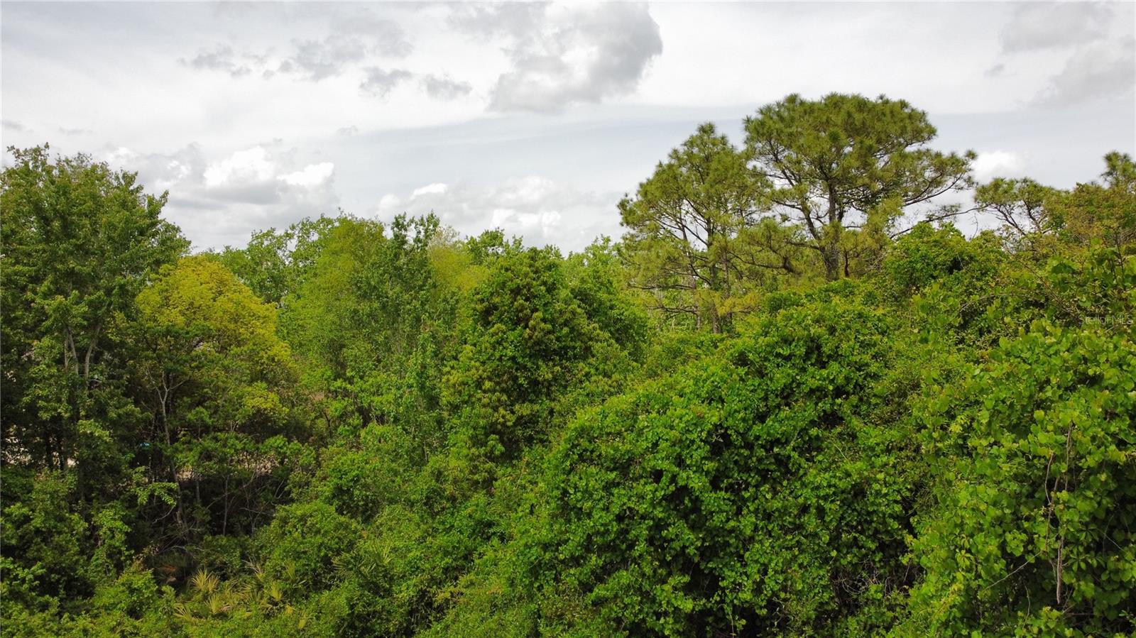 120 REMINGTON DR, OVIEDO, FL, 32765