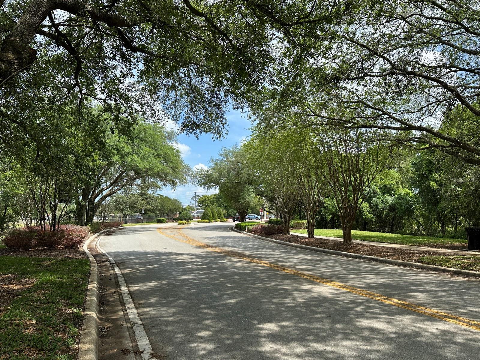 120 REMINGTON DR, OVIEDO, FL, 32765