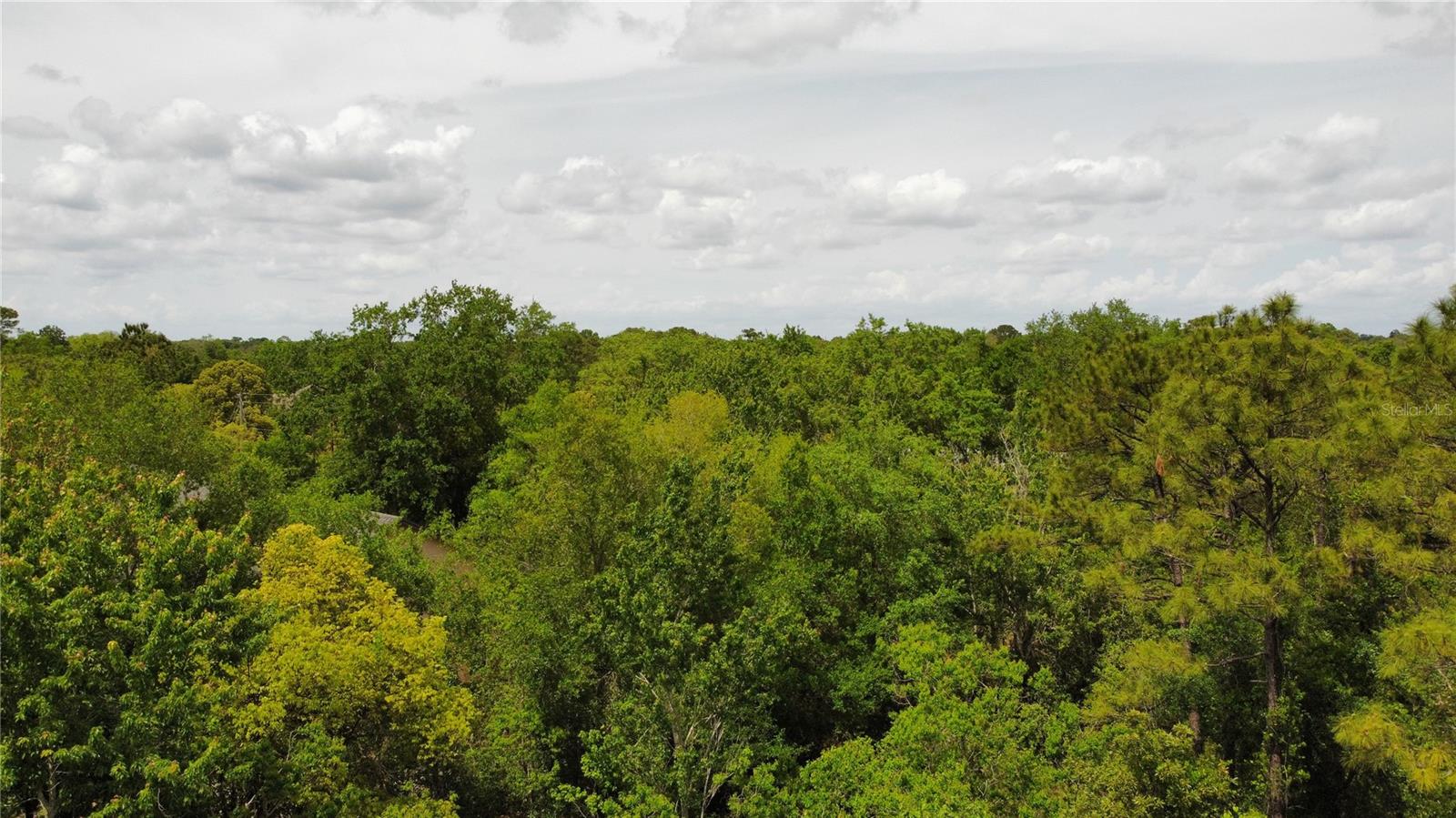 120 REMINGTON DR, OVIEDO, FL, 32765