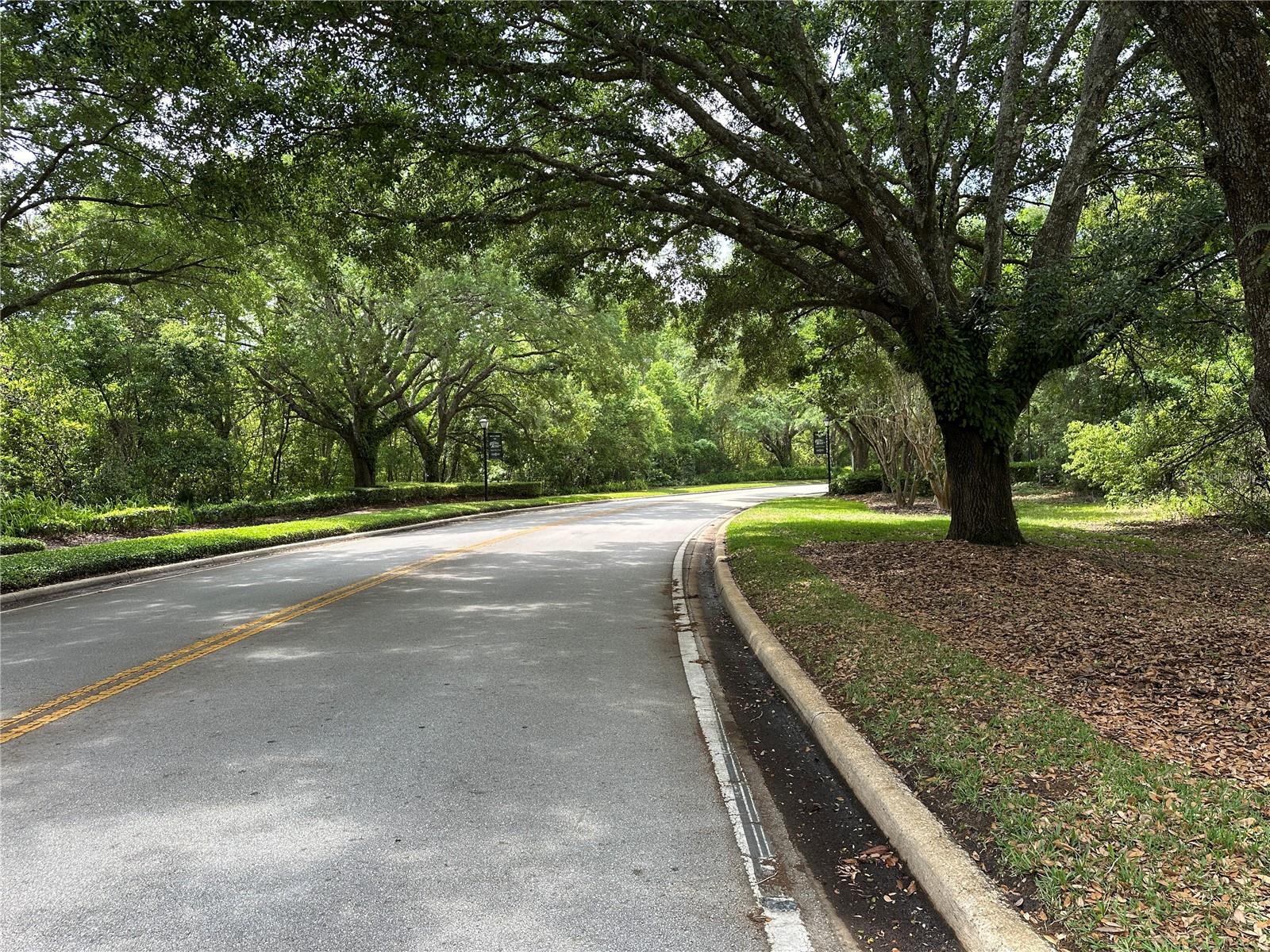 120 REMINGTON DR, OVIEDO, FL, 32765