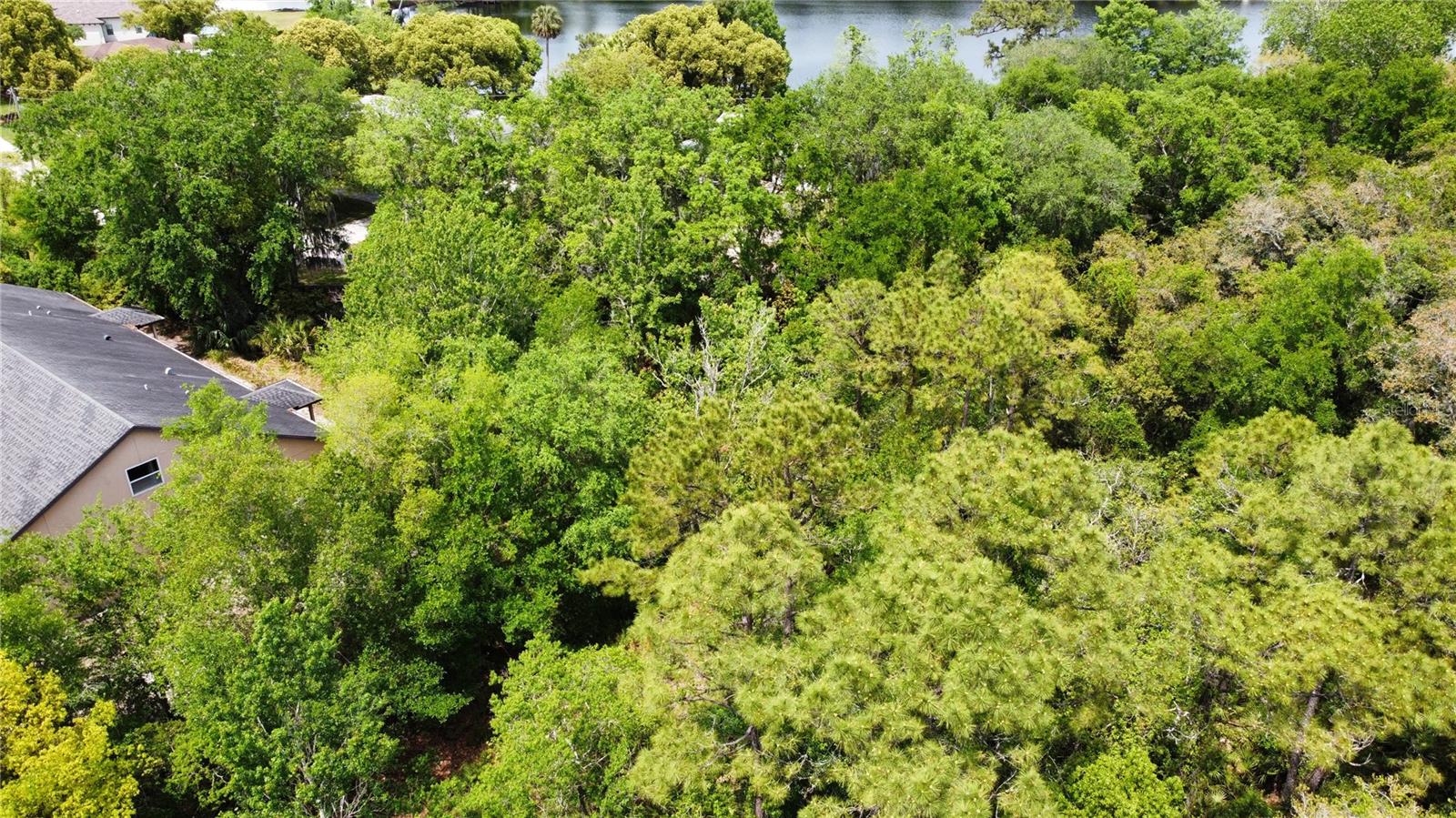 120 REMINGTON DR, OVIEDO, FL, 32765