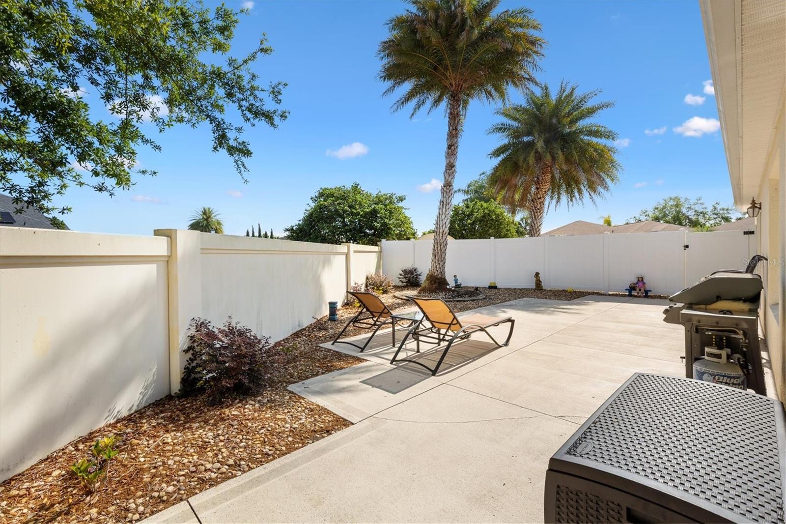 2042 HYDRANGEA AVE, THE VILLAGES, FL, 32162