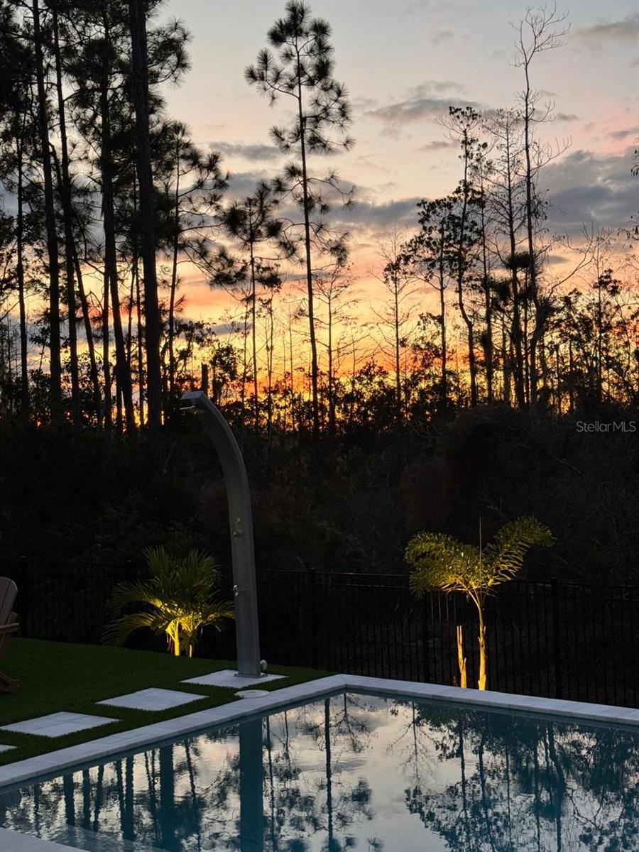 9224 LEGADO DR, WINDERMERE, FL, 34786