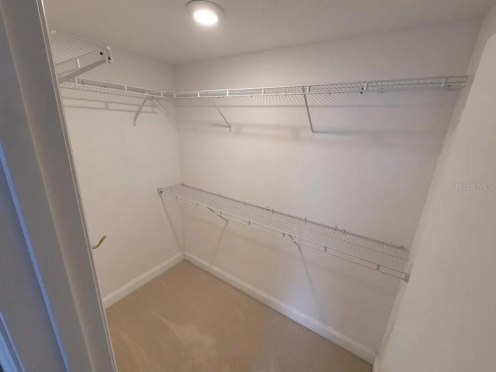 5336 WHITE CLIFF LN #903, ORLANDO, FL, 32812