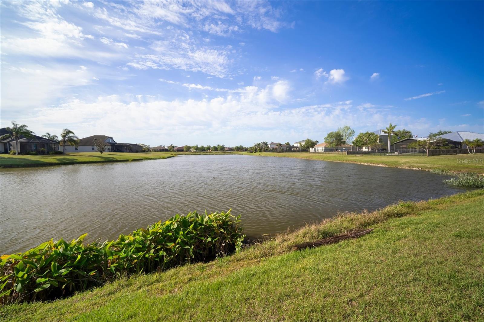 5460 SANDY SHELL DR, APOLLO BEACH, FL, 33572