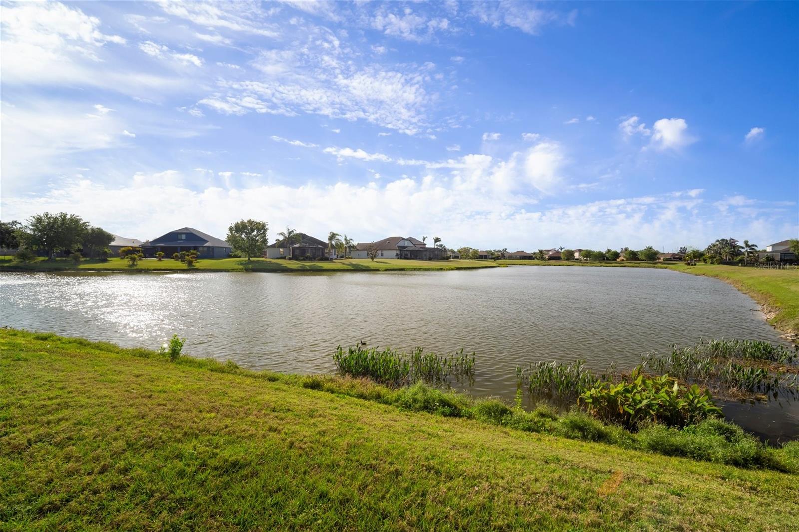 5460 SANDY SHELL DR, APOLLO BEACH, FL, 33572