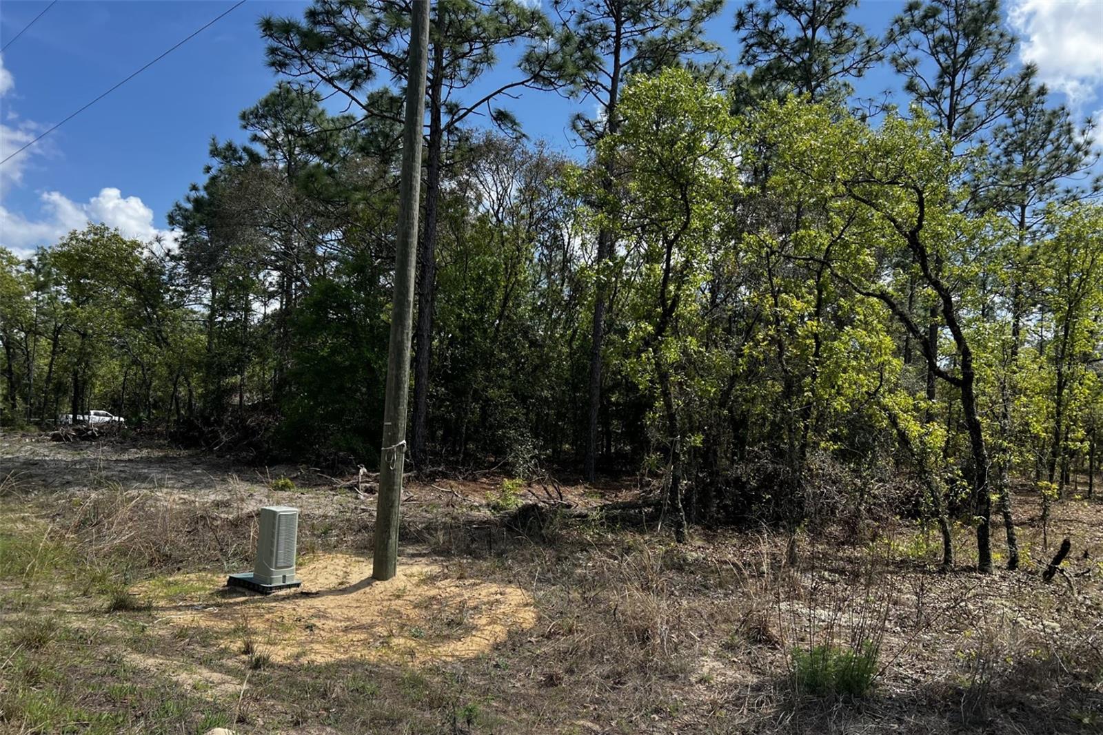 TBD SW 90TH PL, DUNNELLON, FL, 34432