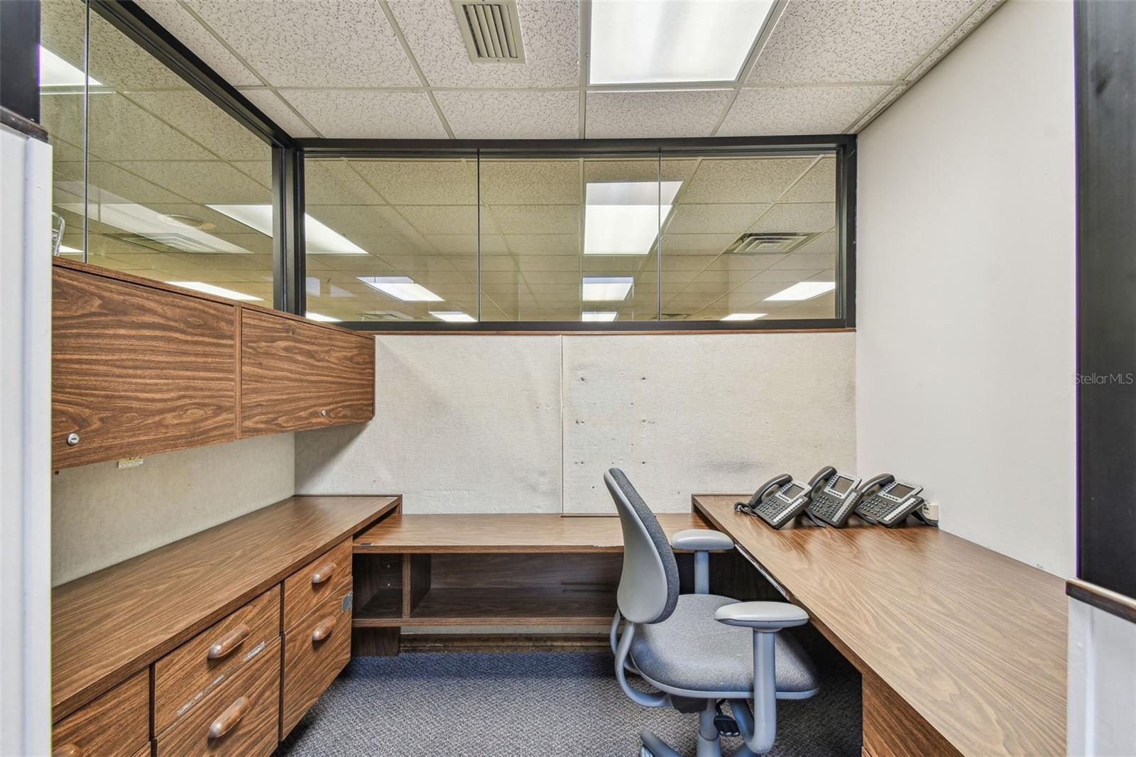 1046 W BUSCH BLVD #300, TAMPA, FL, 33612