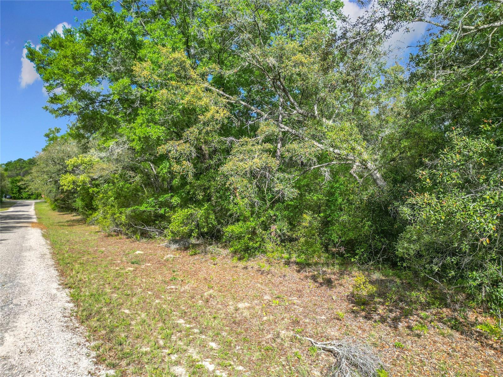 8808 N DELTONA BLVD, CITRUS SPRINGS, FL, 34434