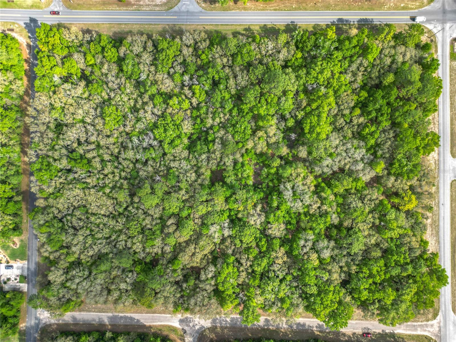 8808 N DELTONA BLVD, CITRUS SPRINGS, FL, 34434
