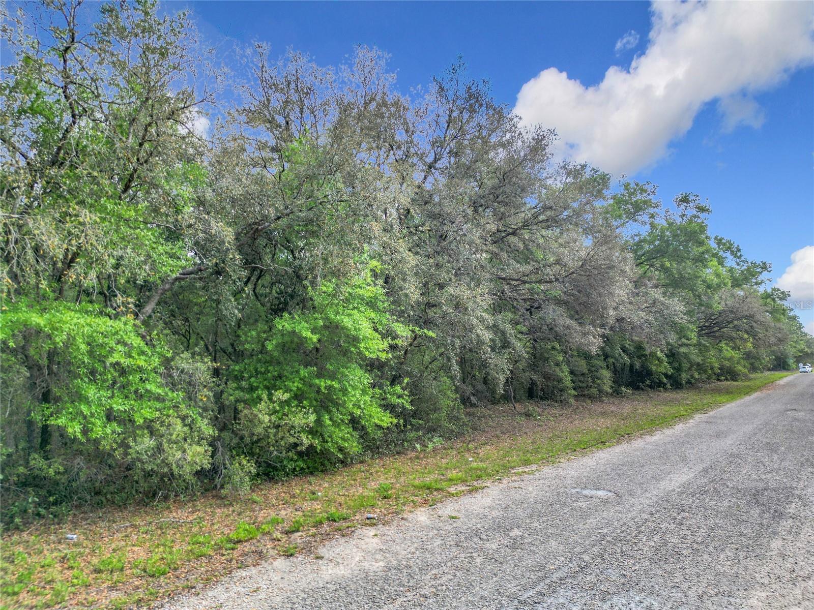 8808 N DELTONA BLVD, CITRUS SPRINGS, FL, 34434