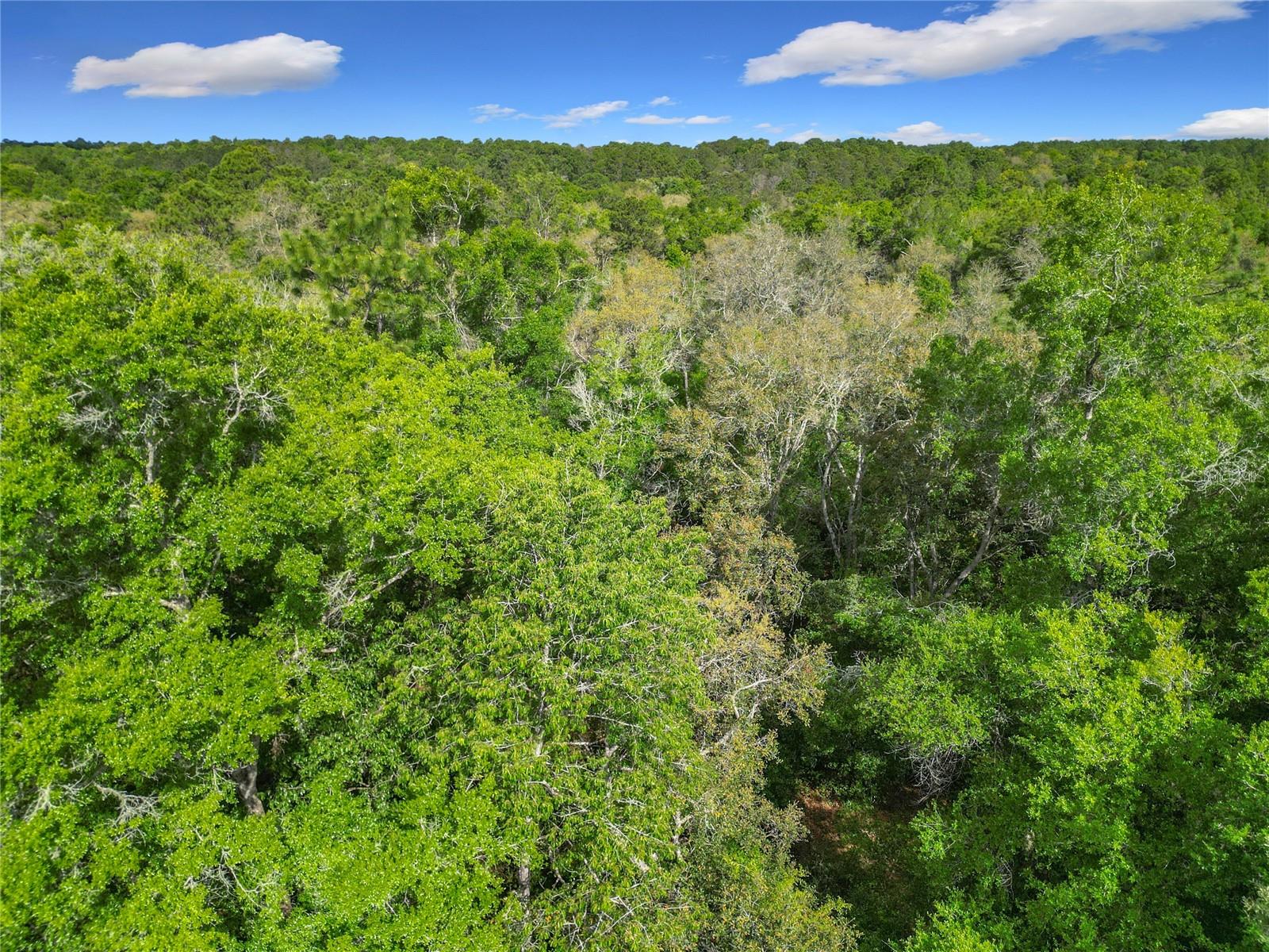 8808 N DELTONA BLVD, CITRUS SPRINGS, FL, 34434