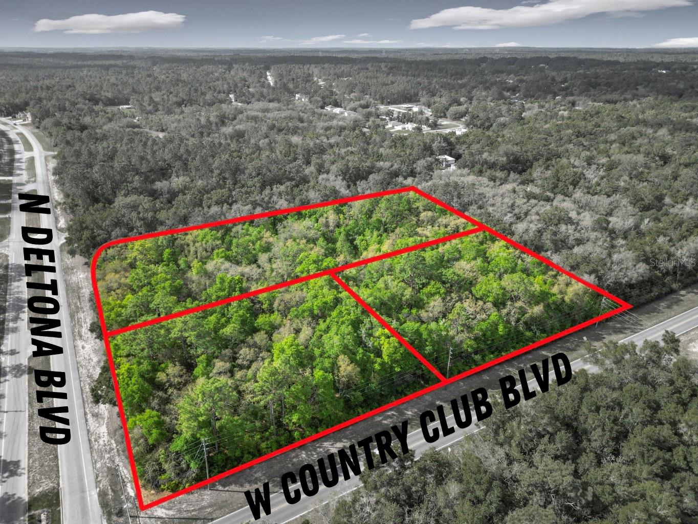 8808 N DELTONA BLVD, CITRUS SPRINGS, FL, 34434
