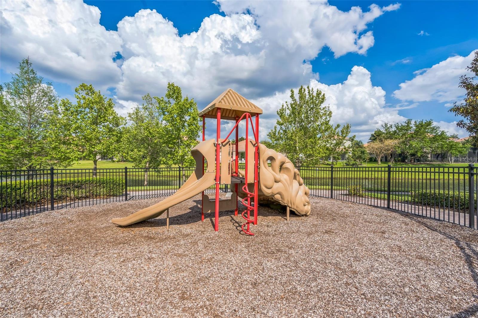 442 ANESSA ROSE LOOP, OCOEE, FL, 34761