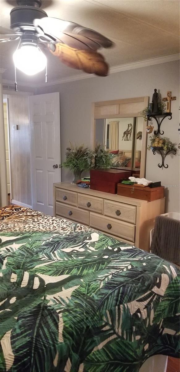 3611 TIKI DR, HOLIDAY, FL, 34691