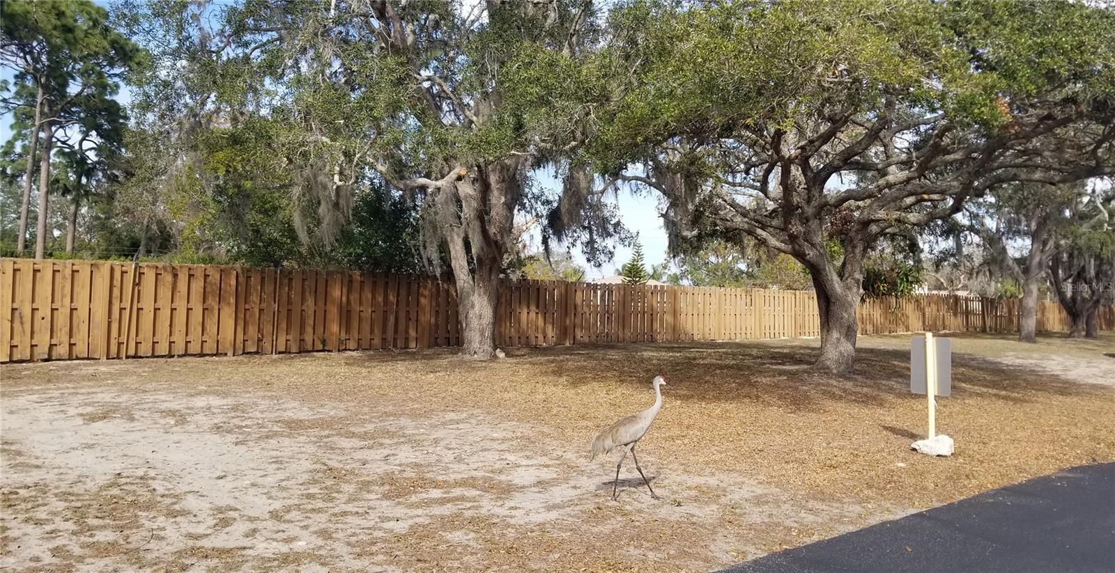 3611 TIKI DR, HOLIDAY, FL, 34691