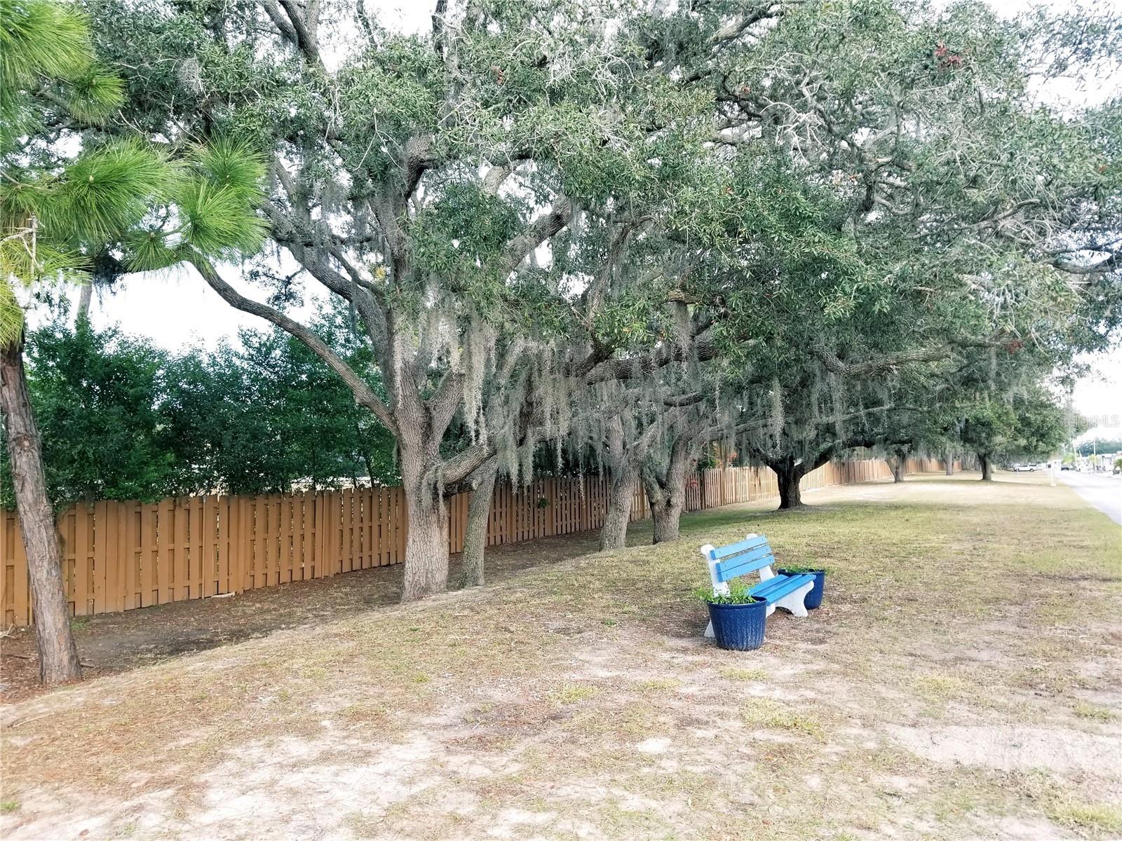 3611 TIKI DR, HOLIDAY, FL, 34691