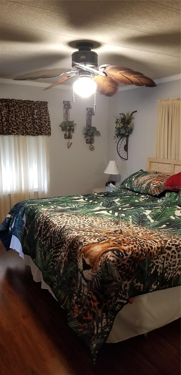 3611 TIKI DR, HOLIDAY, FL, 34691