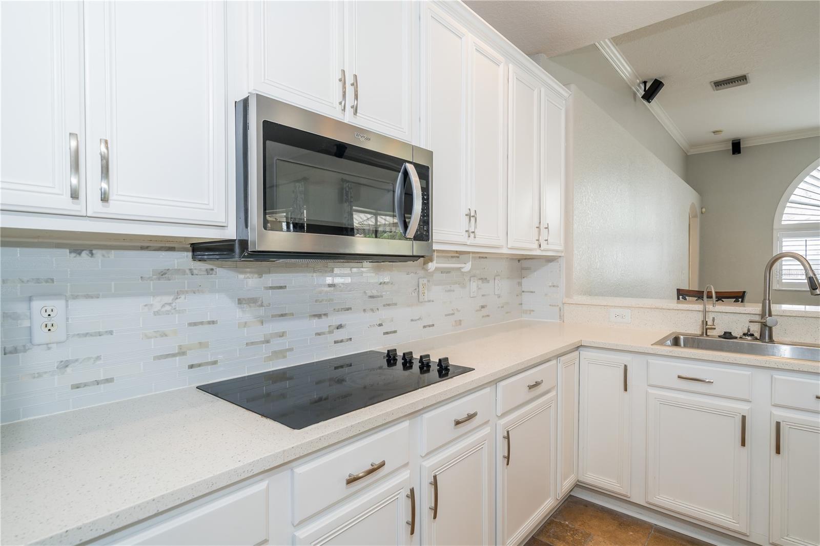 27130 FIREBUSH DR, WESLEY CHAPEL, FL, 33544