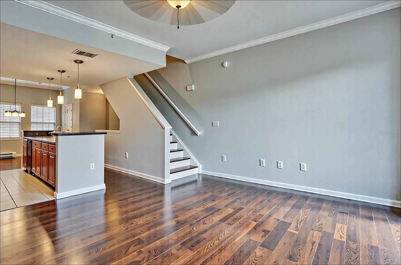 135 S SHERRILL ST, TAMPA, FL, 33609