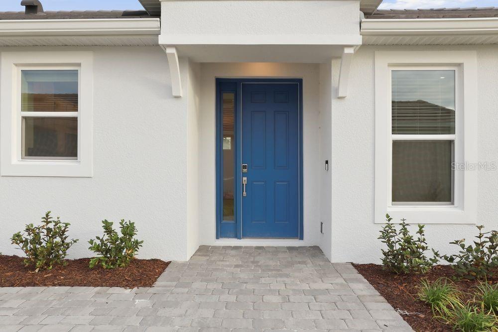 29536 ZUPETTA LN, WESLEY CHAPEL, FL, 33545